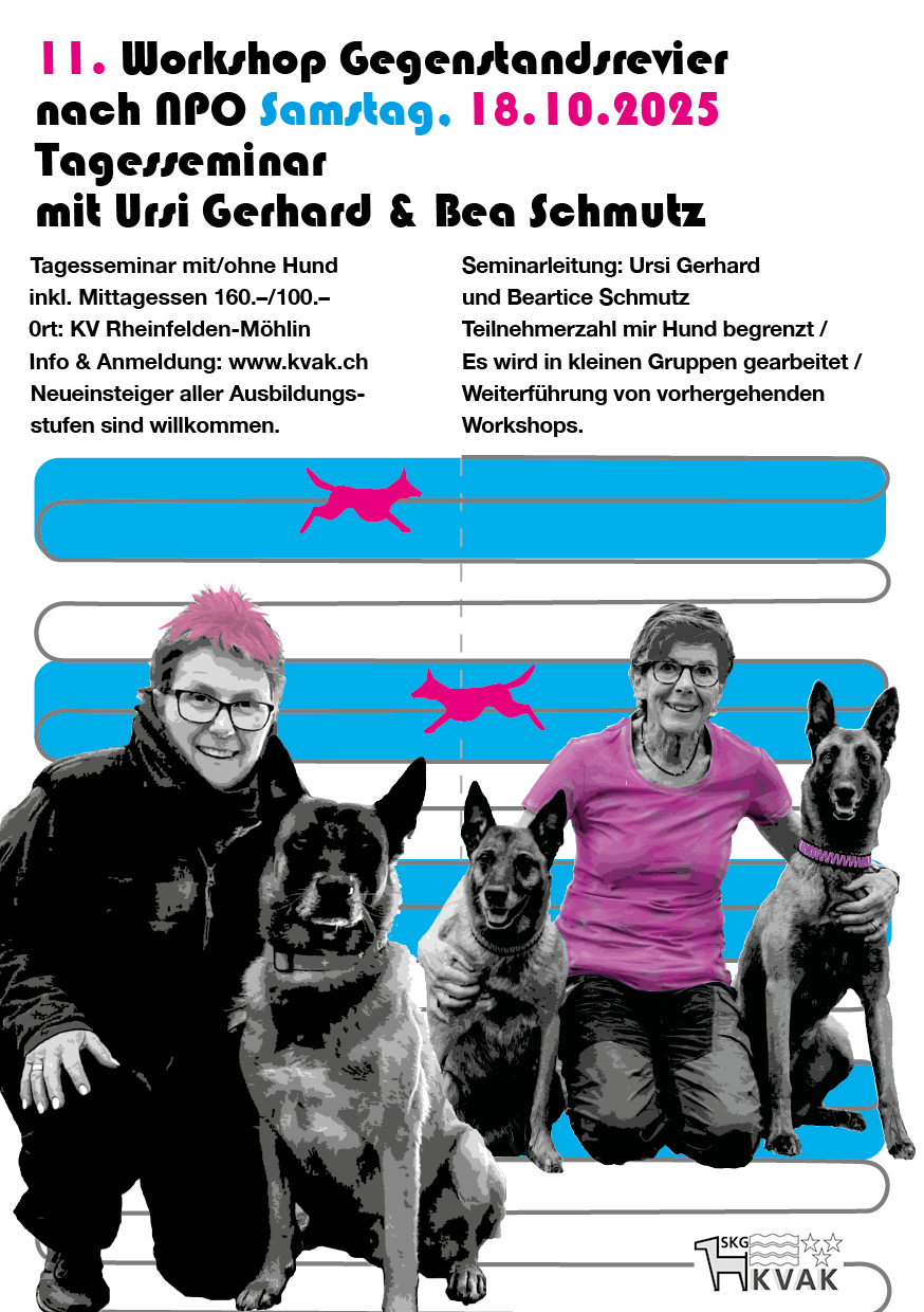 11. Workshop mit Ursi Gerhard & Bea Schmutz: Gegenstandsrevier nach NPO (Wiederholung)